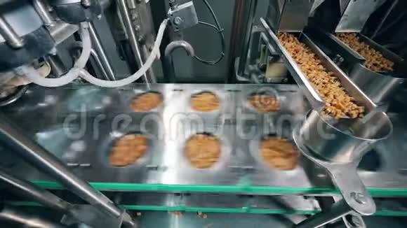 自动输送机在食品厂装满干面包的容器视频的预览图