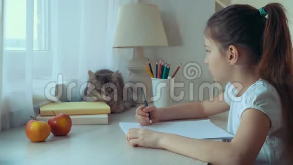 小学女孩抚摸她的宠物猫做家庭作业视频的预览图