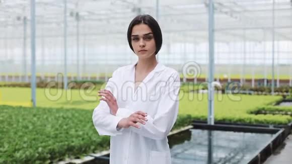 温室里的农业工程师穿着白色外套双臂交叉地看着镜头微笑的肖像视频的预览图