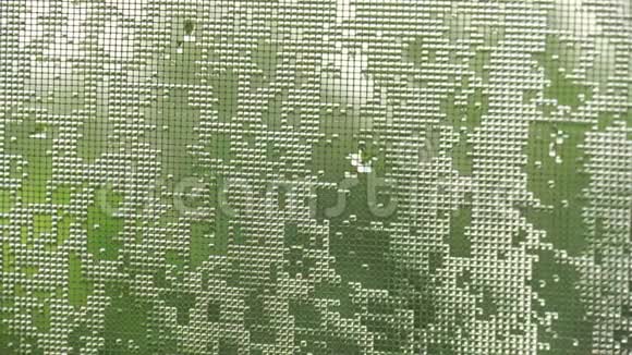 水滴像镜片在蚊帐上夏天倾盆大雨在城市里4K视频视频的预览图
