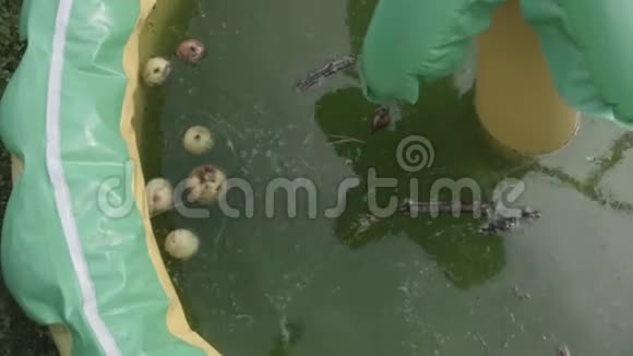 肮脏的儿童游泳池视频的预览图