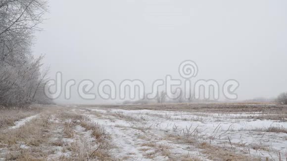 在多云的雾天看到覆盖着雪的草地或草地视频的预览图