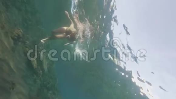 年轻女子在清澈的海水中潜水女人在透明的海水中戴眼镜浮潜水下视频的预览图