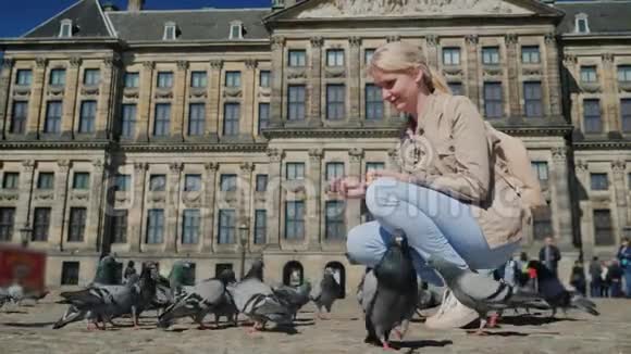 这位游客在阿姆斯特丹市中心皇家宫殿的背景下喂鸽子欧洲和旅游视频的预览图