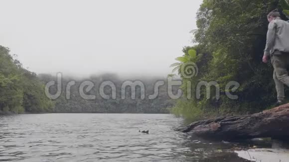 在绿色高地的热带森林中旅行者站在落在河水中的树上年轻人视频的预览图