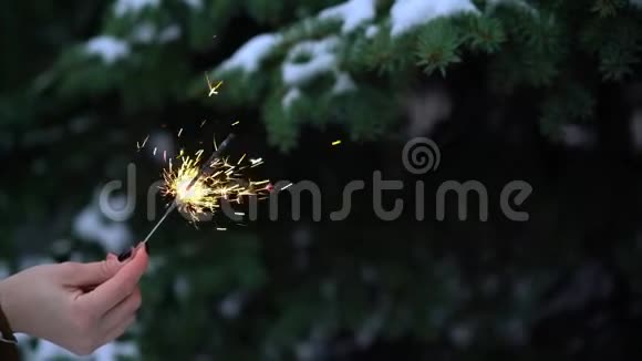 女人手中的孟加拉灯或闪光灯闪烁灯背景雪中的圣诞树视频的预览图
