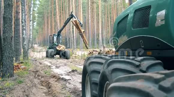森林收割机正在搬迁砍伐的木材视频的预览图