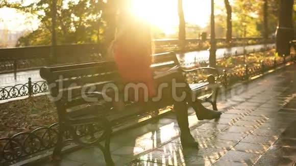 秋天阳光明媚的一天下午在公园里小姐正在看书女孩正拿着书包坐在公园的长椅上秋天视频的预览图