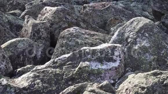 松开岩石关闭上视图俄罗斯塔格奈国家公园里的巨石河视频的预览图