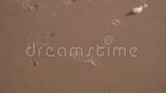 镜头沿着沙滩上的脚印移动在女人的脚上绊倒视频的预览图