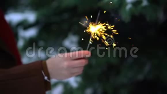 女人手中的孟加拉灯或闪光灯闪烁灯背景雪中的圣诞树视频的预览图