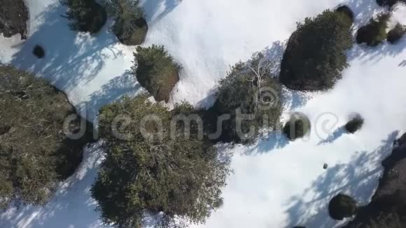 在阳光明媚的日子里无人驾驶飞机带着雪飞过树林和地面空中拍摄视频的预览图