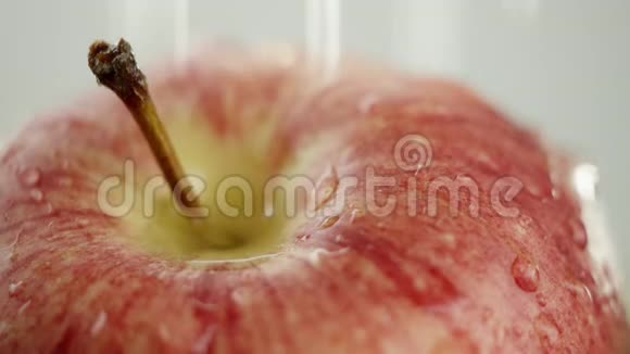 在视频中我们看到一个红苹果水开始从顶部倾泻就像淋浴白色背景特写视频的预览图
