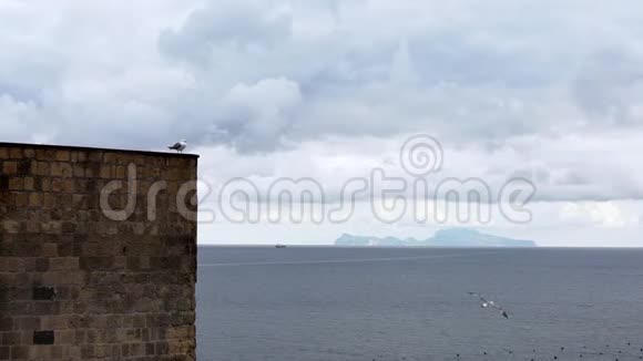 普通海鸥的慢动作栖息在那不勒斯城堡的墙上卡普里岛视频的预览图