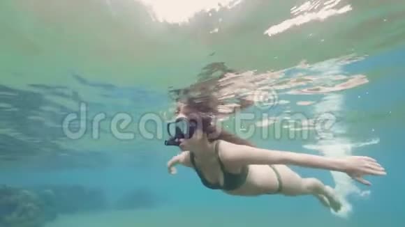 年轻女子穿着泳衣在水下游泳戴着浮潜面罩和管子女孩浮潜和观看珊瑚礁和视频的预览图