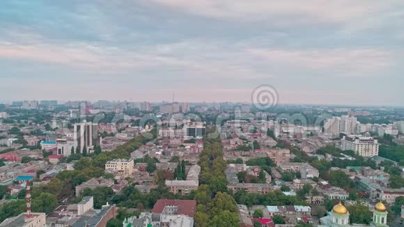 敖德萨市中心全景展示街道和屋顶上的绿树视频的预览图