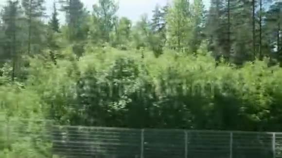 背光茂密的森林和栅栏预示着野生动物要上铁路从移动列车的窗口查看视频的预览图