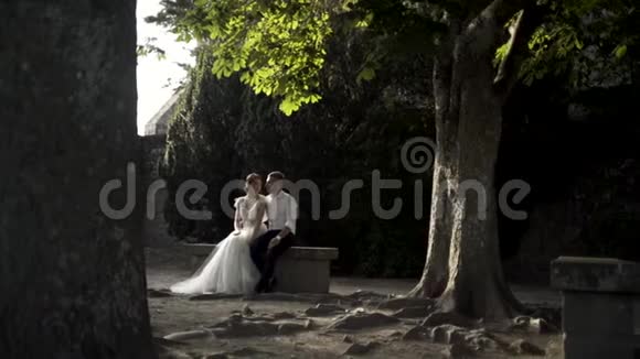 一位新娘和新郎坐在长凳上拥抱在一座古老而美丽的绿树下的城市公园里家人和家人视频的预览图