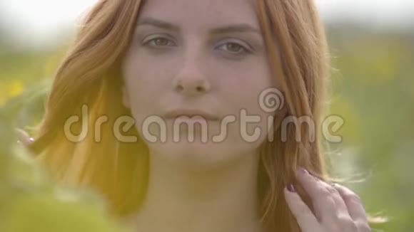 一幅充满自信的性感女孩的特写肖像红色的头发和绿色的眼睛站在向日葵田野上看着镜头视频的预览图