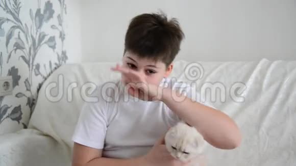 对猫挠鼻子过敏的青少年视频的预览图