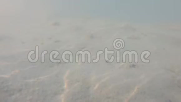水下交接多云水中搅拌沙子视频的预览图