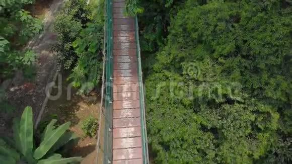 一个小男孩在丛林上空的吊桥上奔跑的空中射击东南亚概念旅行视频的预览图