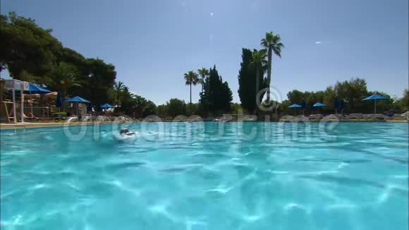 荷兰家庭度假游泳池游泳视频的预览图