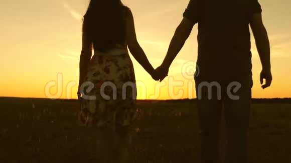 幸福的家庭携手旅行在阳光下的田野里恋爱中的年轻夫妇走过田野视频的预览图