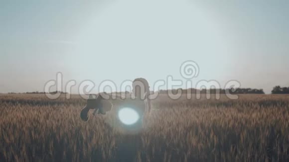 日落时分剪影少女在麦田里玩玩具熊概念大梦想视频的预览图