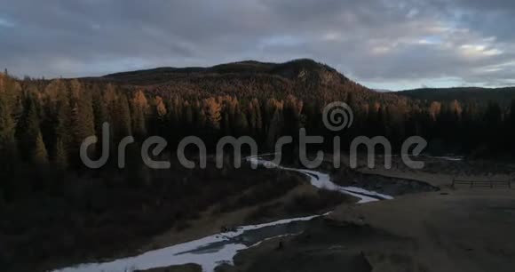 俄罗斯阿尔泰日落时的西伯利亚雪松泰加视频的预览图