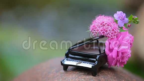 钢琴花蜂河背景高清镜头视频的预览图
