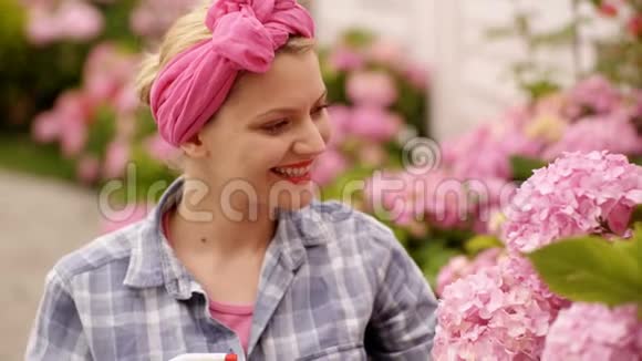 女人在浇花粉红色漂亮的花女人关心鲜花春天的花花园里快乐的女人视频的预览图
