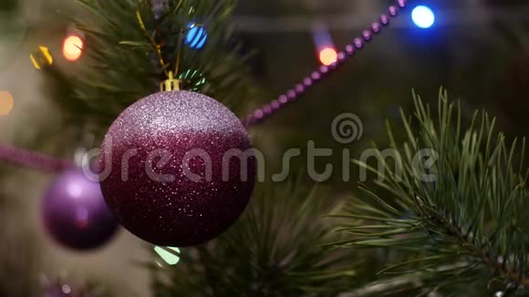 圣诞树上挂着一个亮闪闪的紫丁香球视频的预览图