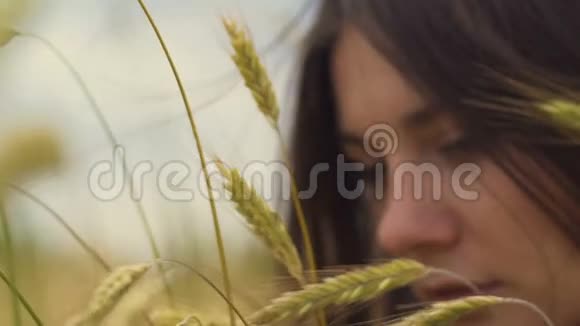 生育女人的健康女人触摸小麦作物梦想悲伤的回忆视频的预览图