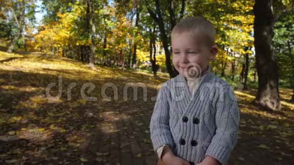 秋天公园中可爱的小男孩的肖像视频的预览图