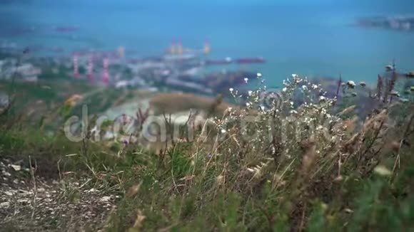 城市的足迹有海湾港口建筑山脉阿瑞尔对诺罗西耶斯克的看法俄罗斯视频的预览图
