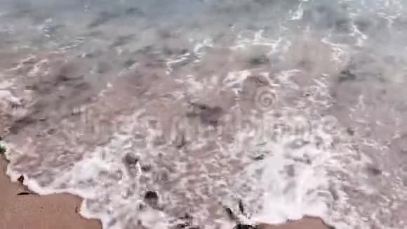 海草潮视频的预览图