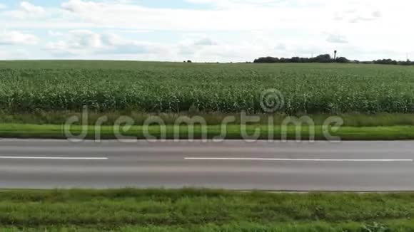 绿色玉米田的鸟瞰图穿过玉米地的空沥青路视频的预览图