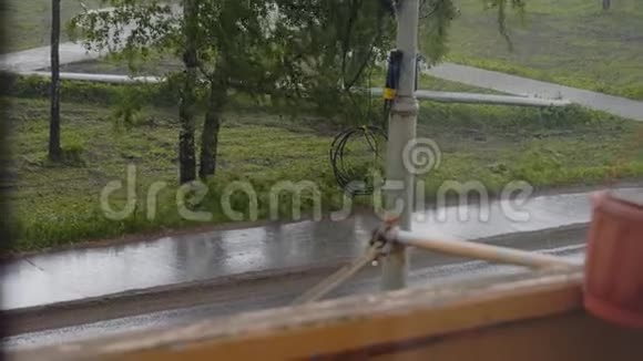 外面下着大雨从阳台可以看到街景树在一阵风下弯曲在沥青流水上视频的预览图