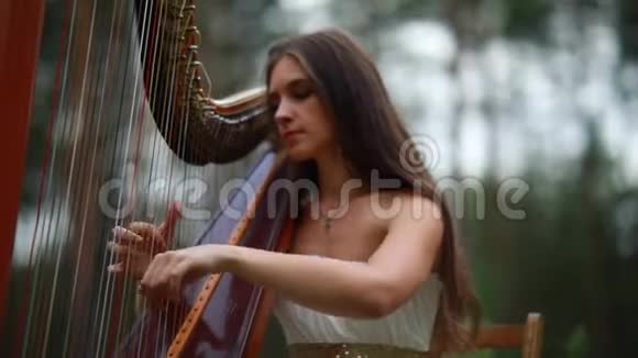 女竖琴手坐在森林里弹竖琴特写镜头视频的预览图