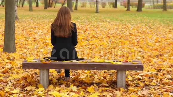 女子独自坐在秋天公园后景视频的预览图