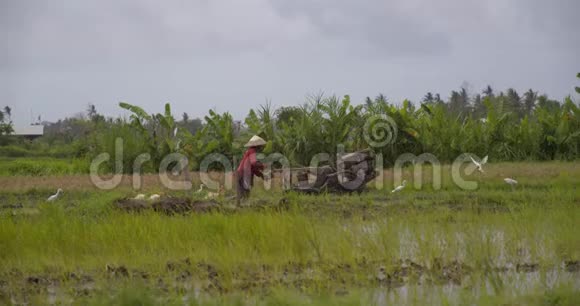 亚洲农民用手拖拉机耕作他的稻田稻田里浸满了水农业在白天劳作视频的预览图