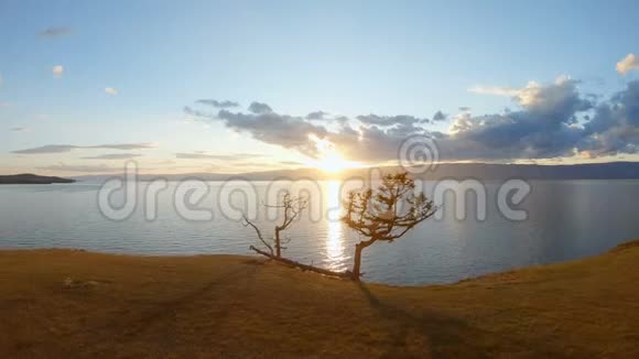 日落时的风景海景空中射击岸上的树木视频的预览图