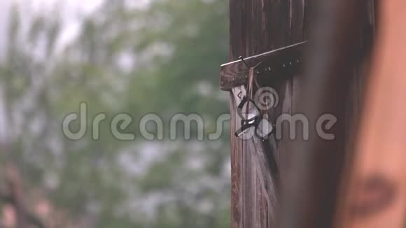 夏天的雨落在自然模糊的背景上视频的预览图