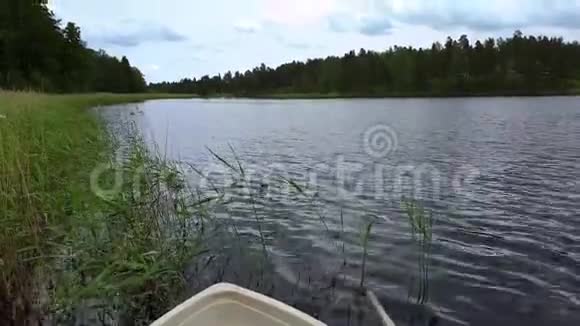 海鸥的景色游去了夏日美丽的湖景和绿林景观视频的预览图