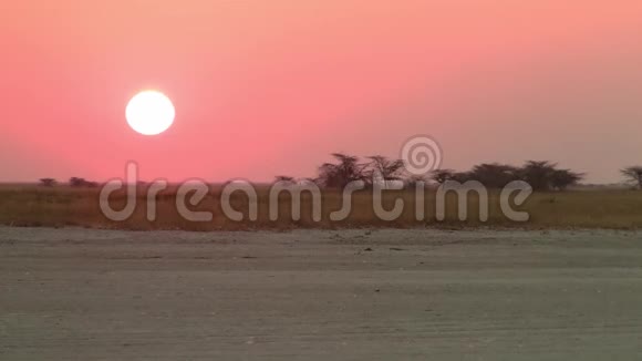 在马卡迪加迪盐滩日落视频的预览图