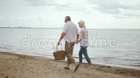 高级情侣海滩聚会日野餐后漫步在海岸线上视频的预览图