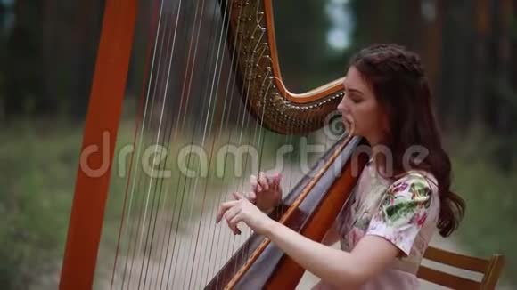 女竖琴手坐在森林里弹竖琴特写镜头视频的预览图