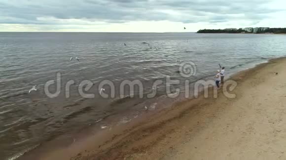成熟的退休夫妇正沿着海滩散步喂海鸥视频的预览图