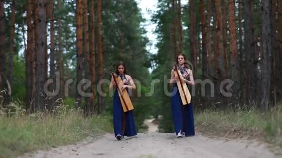 两个女竖琴手在森林里散步在松树的背景下演奏竖琴视频的预览图